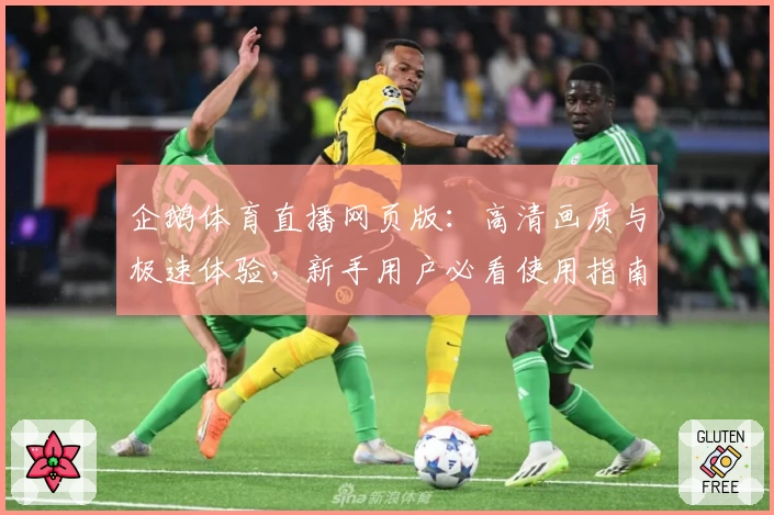 企鹅体育直播网页版：高清画质与极速体验，新手用户必看使用指南