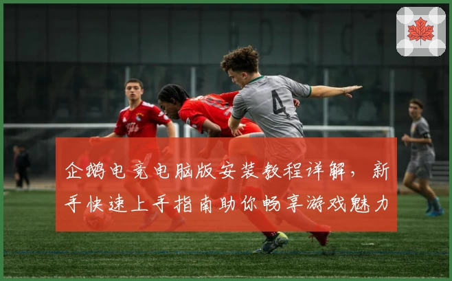 企鹅电竞电脑版安装教程详解，新手快速上手指南助你畅享游戏魅力