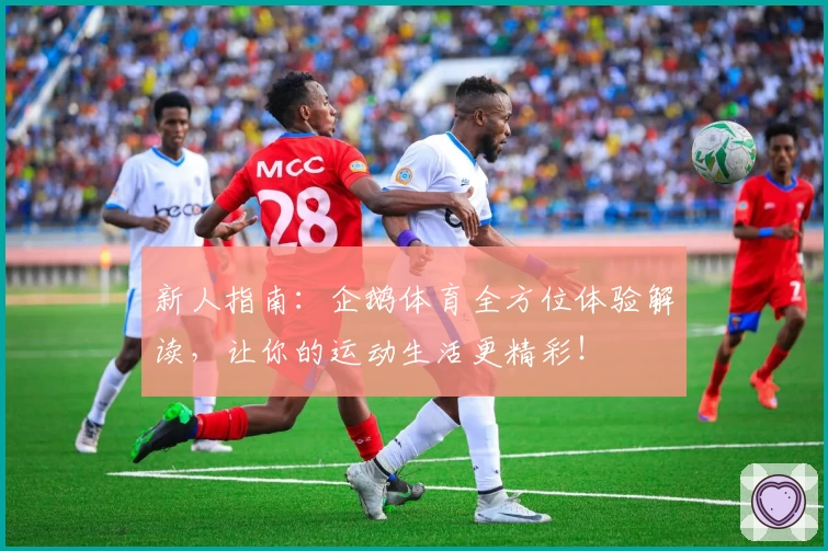 新人指南：企鹅体育全方位体验解读，让你的运动生活更精彩！