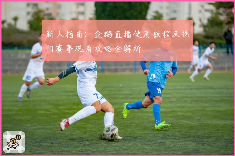 新人指南：企鹅直播使用教程及热门赛事观看攻略全解析