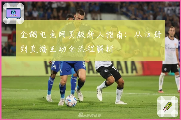 企鹅电竞网页版新人指南：从注册到直播互动全流程解析