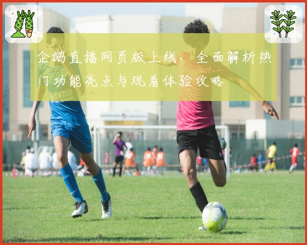 企鹅直播网页版上线，全面解析热门功能亮点与观看体验攻略