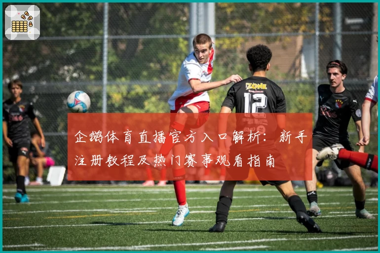 企鹅体育直播官方入口解析：新手注册教程及热门赛事观看指南