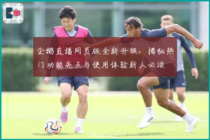 企鹅直播网页版全新升级，揭秘热门功能亮点与使用体验新人必读
