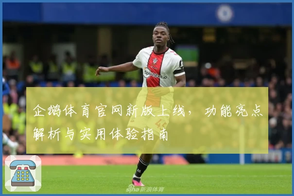 企鹅体育官网新版上线，功能亮点解析与实用体验指南