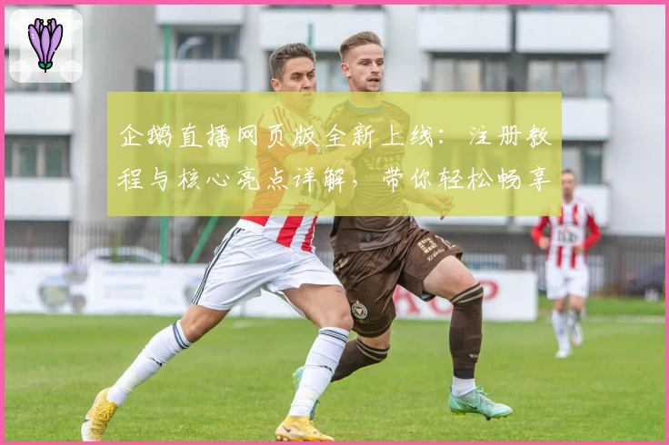 企鹅直播网页版全新上线：注册教程与核心亮点详解，带你轻松畅享高清直播体验