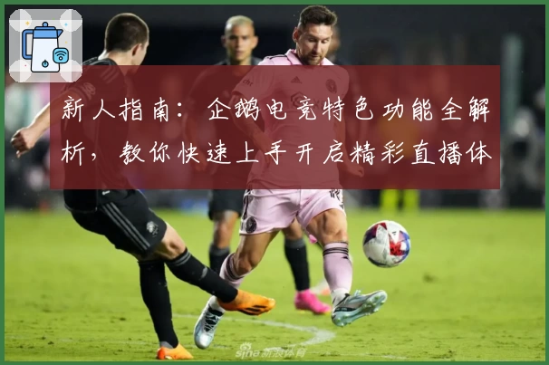 新人指南：企鹅电竞特色功能全解析，教你快速上手开启精彩直播体验