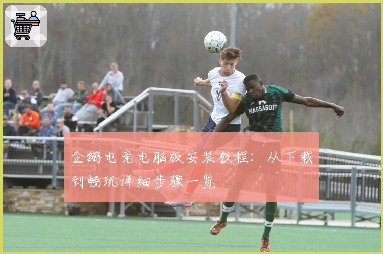 企鹅电竞电脑版安装教程：从下载到畅玩详细步骤一览