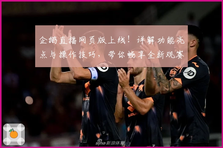 企鹅直播网页版上线！详解功能亮点与操作技巧，带你畅享全新观赛体验