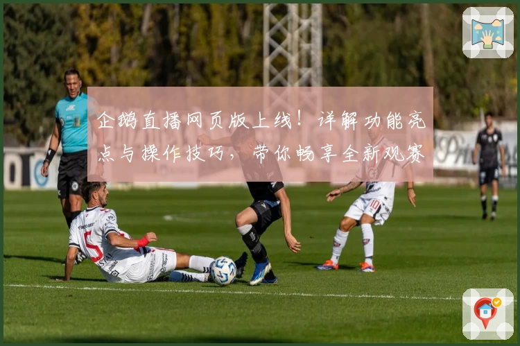 企鹅直播网页版上线！详解功能亮点与操作技巧，带你畅享全新观赛体验