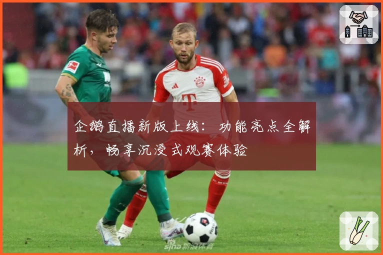 企鹅直播新版上线：功能亮点全解析，畅享沉浸式观赛体验