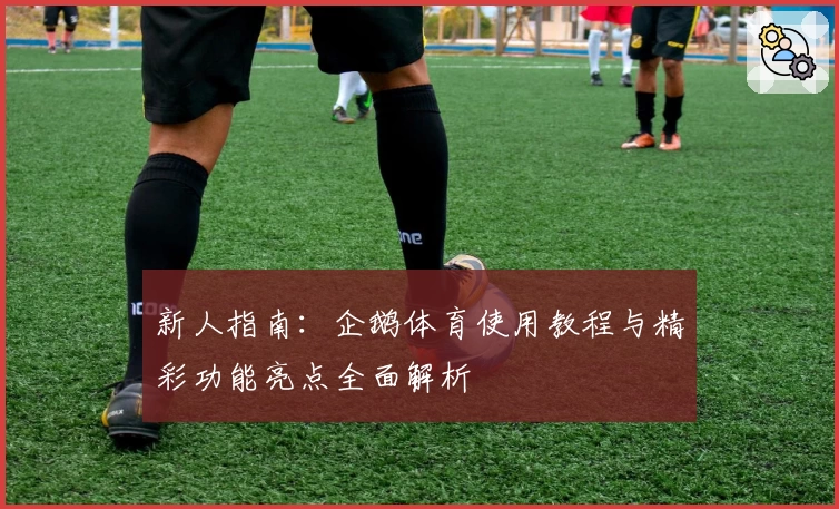 新人指南：企鹅体育使用教程与精彩功能亮点全面解析