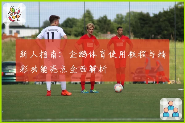 新人指南：企鹅体育使用教程与精彩功能亮点全面解析