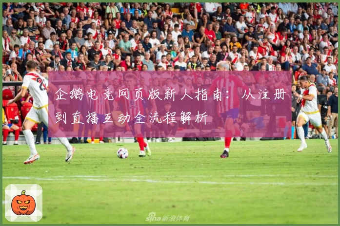 企鹅电竞网页版新人指南:从注册到直播互动全流程解析
